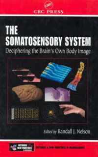 The Somatosensory System