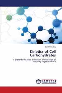 Kinetics of Cell Carbohydrates