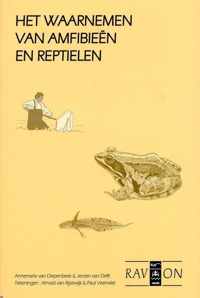 Het Waarnemen Van Amfibieen En Reptielen