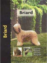 Briard