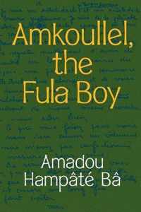 Amkoullel, the Fula Boy