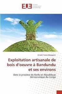 Exploitation artisanale de bois d'oeuvre a Bandundu et ses environs