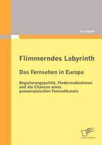 Flimmerndes Labyrinth: Das Fernsehen in Europa  - Regulierungspolitik, Fördermaßnahmen und die Chancen eines paneuropäischen Fernsehkanals