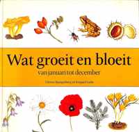 Wat groeit en bloeit van januari tot december