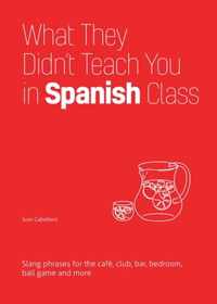 What They Didn't Teach You In Spanish Class