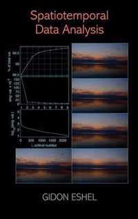 Spatiotemporal Data Analysis