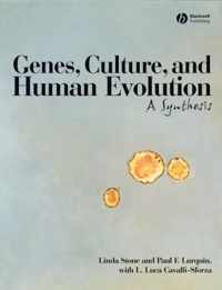 Genes, Culture, and Human Evolution