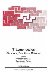 T Lymphocytes