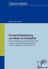 Forward-Preisbildung am Markt fur Elektrizitat