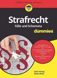 Strafrecht Falle und Schemata fur Dummies