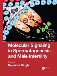 Molecular Signaling in Spermatogenesis and Male Infertility