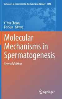 Molecular Mechanisms in Spermatogenesis