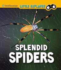 Splendid Spiders