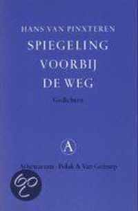 Spiegeling voorbij de weg