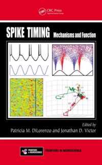 Spike Timing