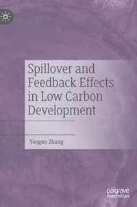 Spillover and Feedback Effects in Low Carbon Development