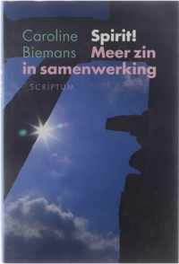 Spirit! Meer zin in samenwerking