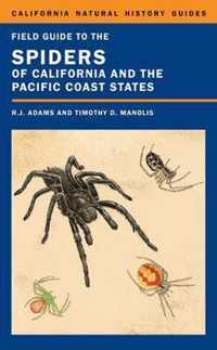 Field Guide To Spiders Of California & T