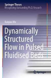 Dynamically Structured Flow in Pulsed Fluidised Beds