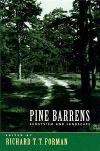 Pine Barrens