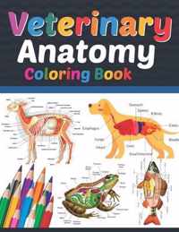 Veterinary Anatomy Coloring Book