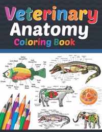 Veterinary Anatomy Coloring Book