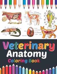 Veterinary Anatomy Coloring Book