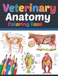 Veterinary Anatomy Coloring Book