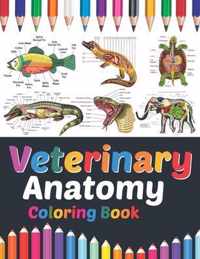 Veterinary Anatomy Coloring Book