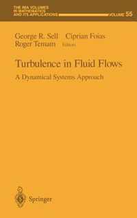 Turbulence in Fluid Flows