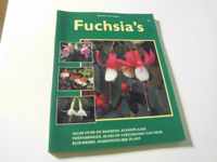 Fuchsia's