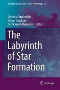 The Labyrinth of Star Formation