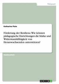 Foerderung der Resilienz. Wie koennen padagogische Einrichtungen die Starke und Widerstandsfahigkeit von Heranwachsenden unterstutzen?