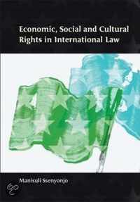 Economic, Social and Cultural Rights in International Law