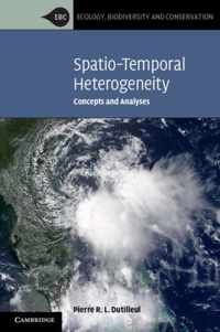 Spatio-Temporal Heterogeneity