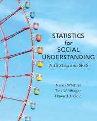 Statistics for Social Understanding