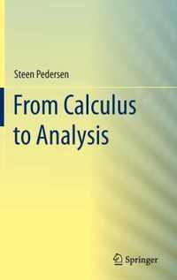 From Calculus to Analysis