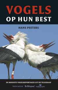 Vogels Op Hun Best