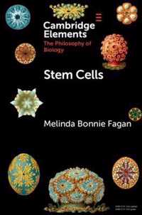 Stem Cells