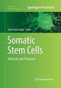 Somatic Stem Cells