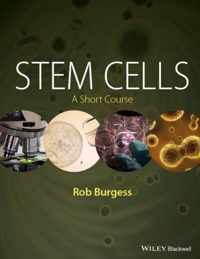 Stem Cells