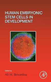 Human Embryonic Stem Cells in Development