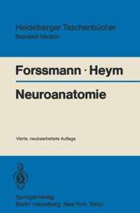 Neuroanatomie