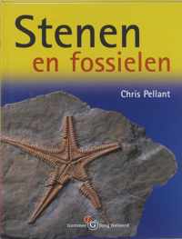 Stenen En Fossielen