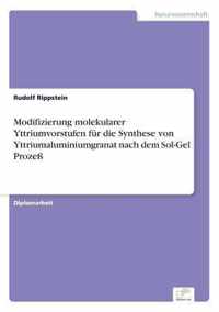 Modifizierung molekularer Yttriumvorstufen fur die Synthese von Yttriumaluminiumgranat nach dem Sol-Gel Prozess