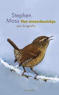 Het winterkoninkje