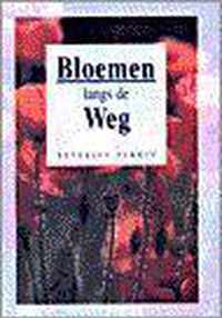 Bloemen langs de weg