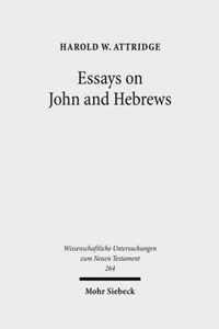 Essays on John and Hebrews