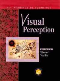 Visual Perception