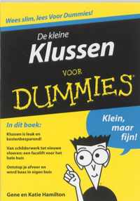 Voor Dummies - De kleine klussen voor Dummies